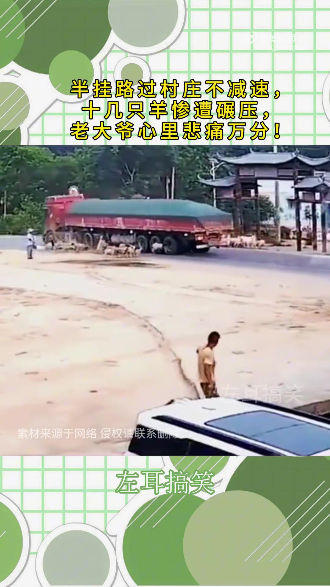 半挂路过村庄不减速，十几只羊惨遭碾压，老大爷心里悲痛万分！！