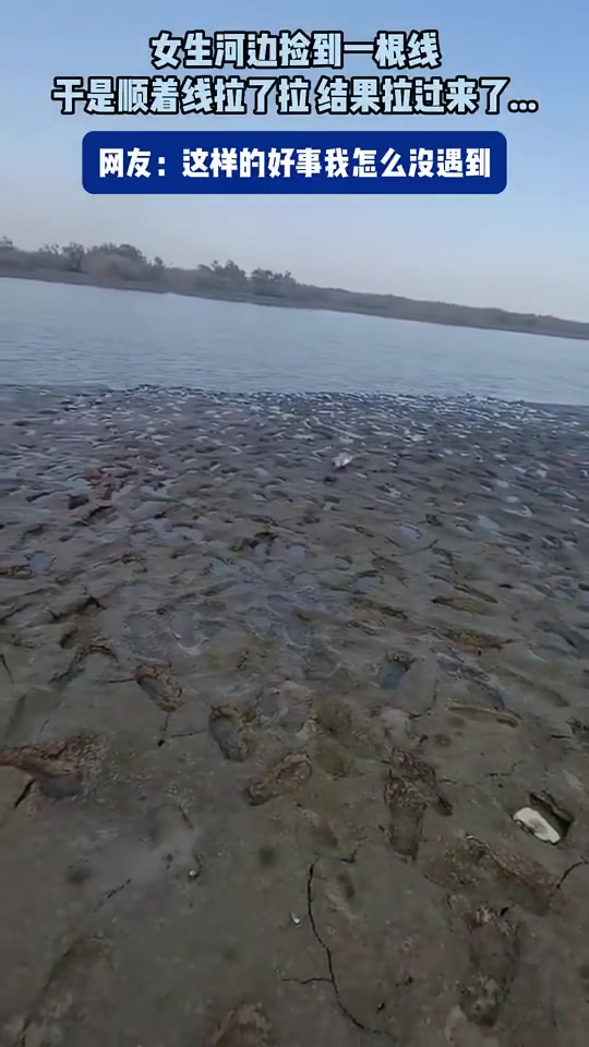 女生河边捡到一根线，于是顺着线拉了拉，结果拉过来了......