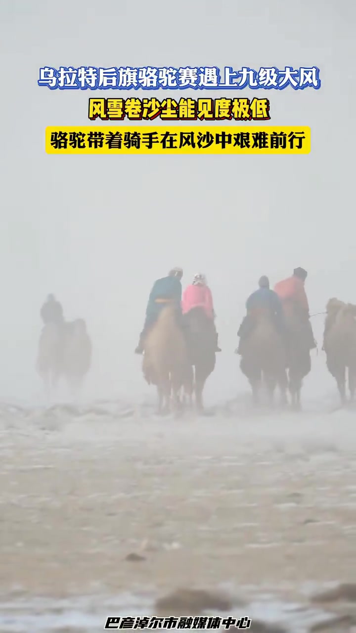 九级大风，风雪卷沙尘能见度极低，骆驼带着骑手在风沙中艰难前行