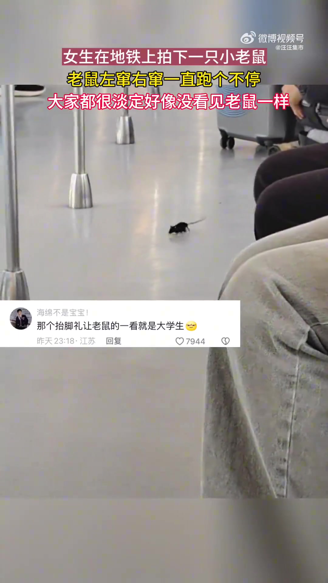 女生在地铁上碰到了一只小老鼠，大家的反应都很平静