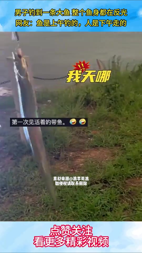 男子钓到一条大鱼整个鱼身都在反光