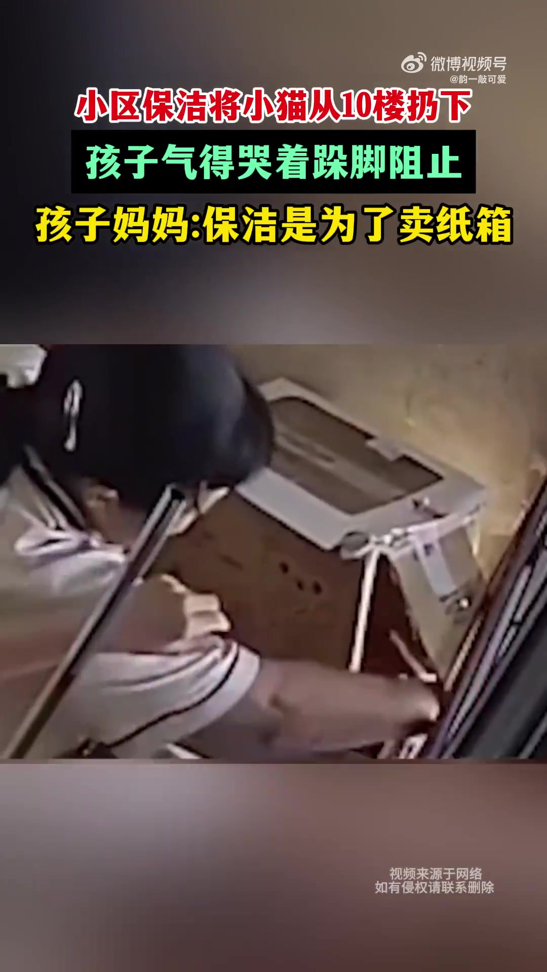 小区保洁将小猫从10楼扔下，孩子气得哭着跺脚阻止！！！