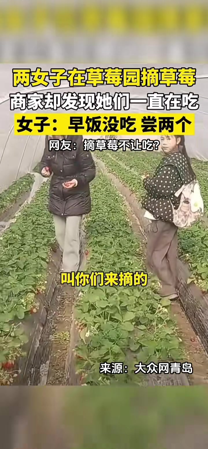 两女子在草莓园摘草莓商家却发现他们一直在吃