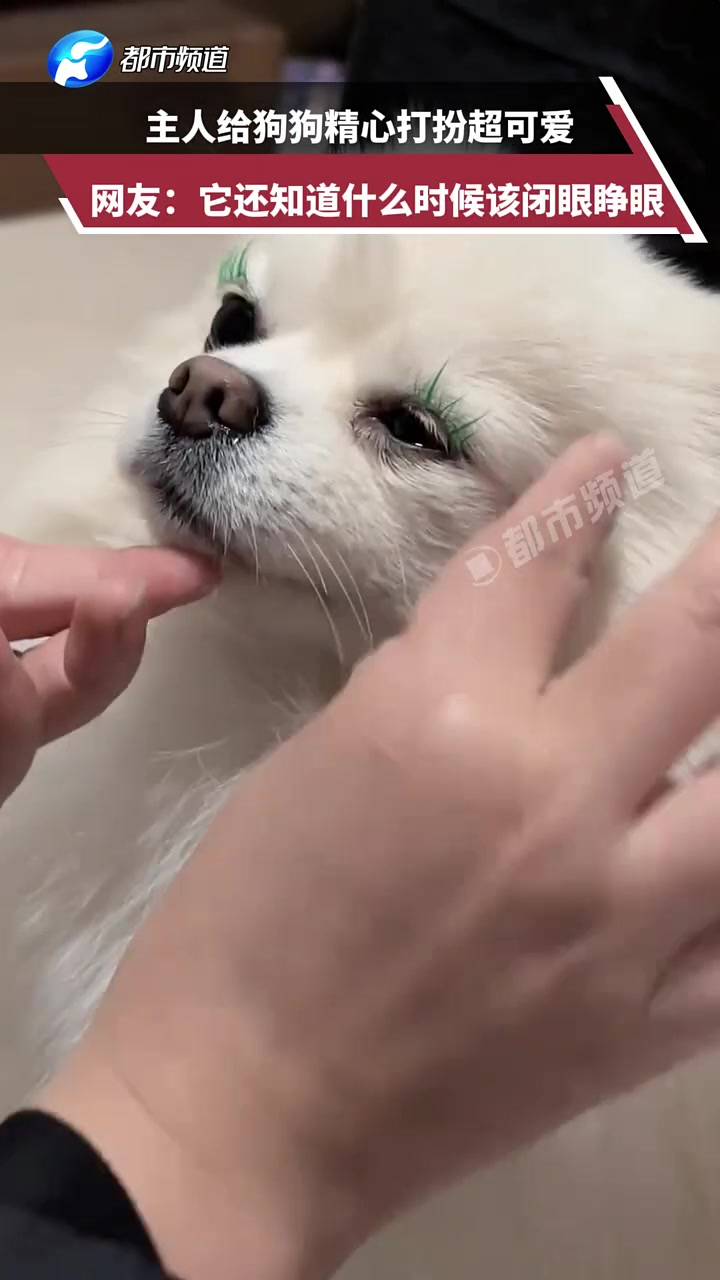 主人给狗狗精心打扮超可爱，网友：它还知道什么时候该闭眼睁眼