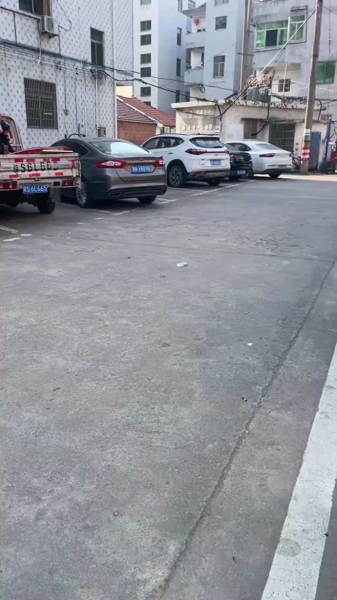 车主如果看到这个视频会崩溃吗