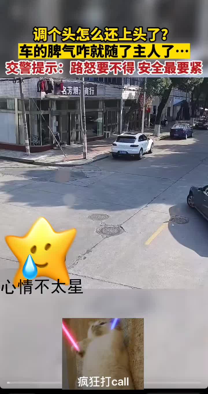 车主人你攻它上路我攻它下路咱俩配合拿下！
