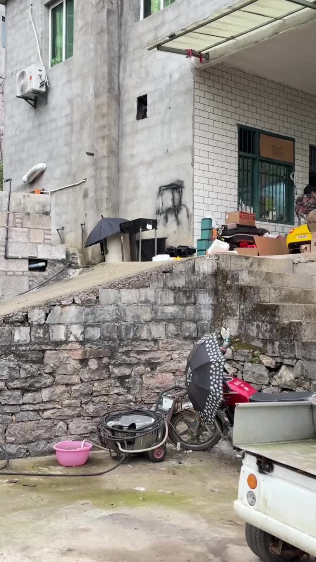 这玩具车动力这么强劲吗