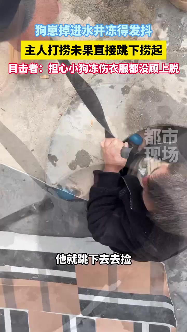 狗崽掉进水井冻得发抖