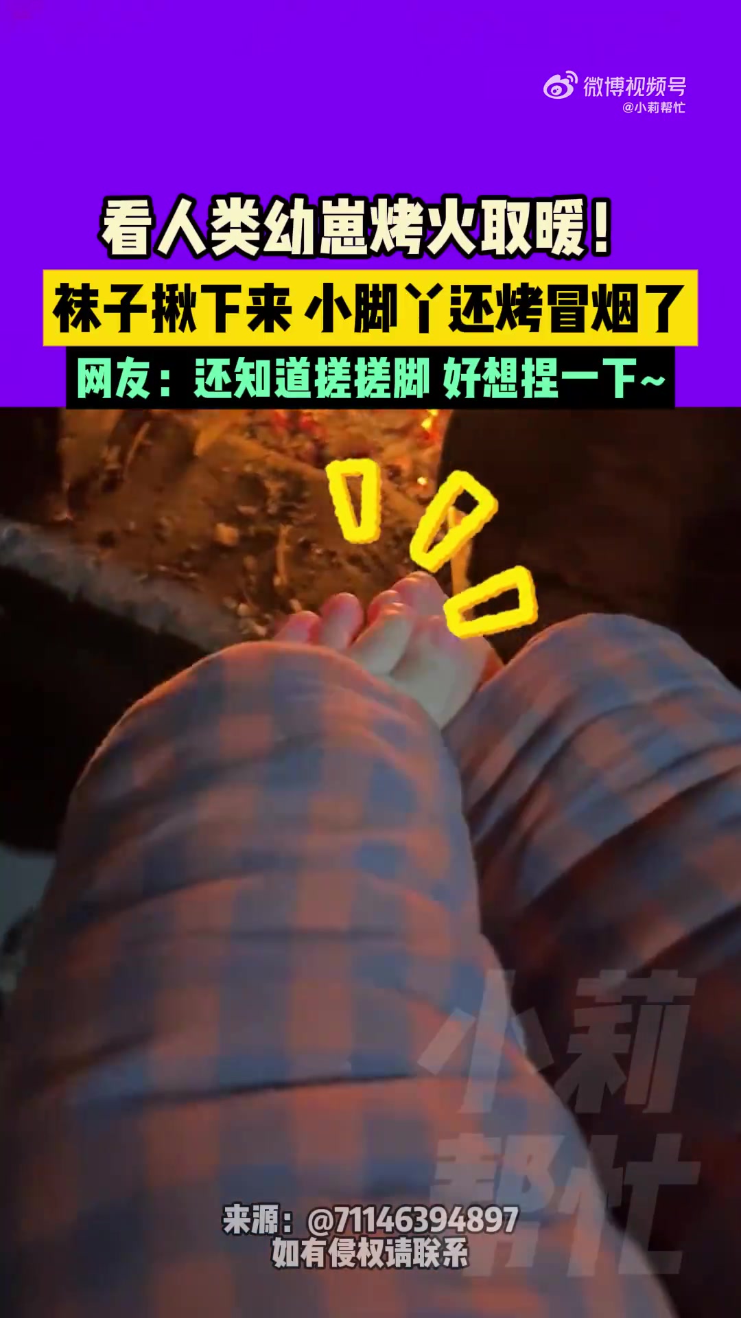 看人类幼崽烤火取暖！袜子揪下来，小脚丫还烤冒烟了