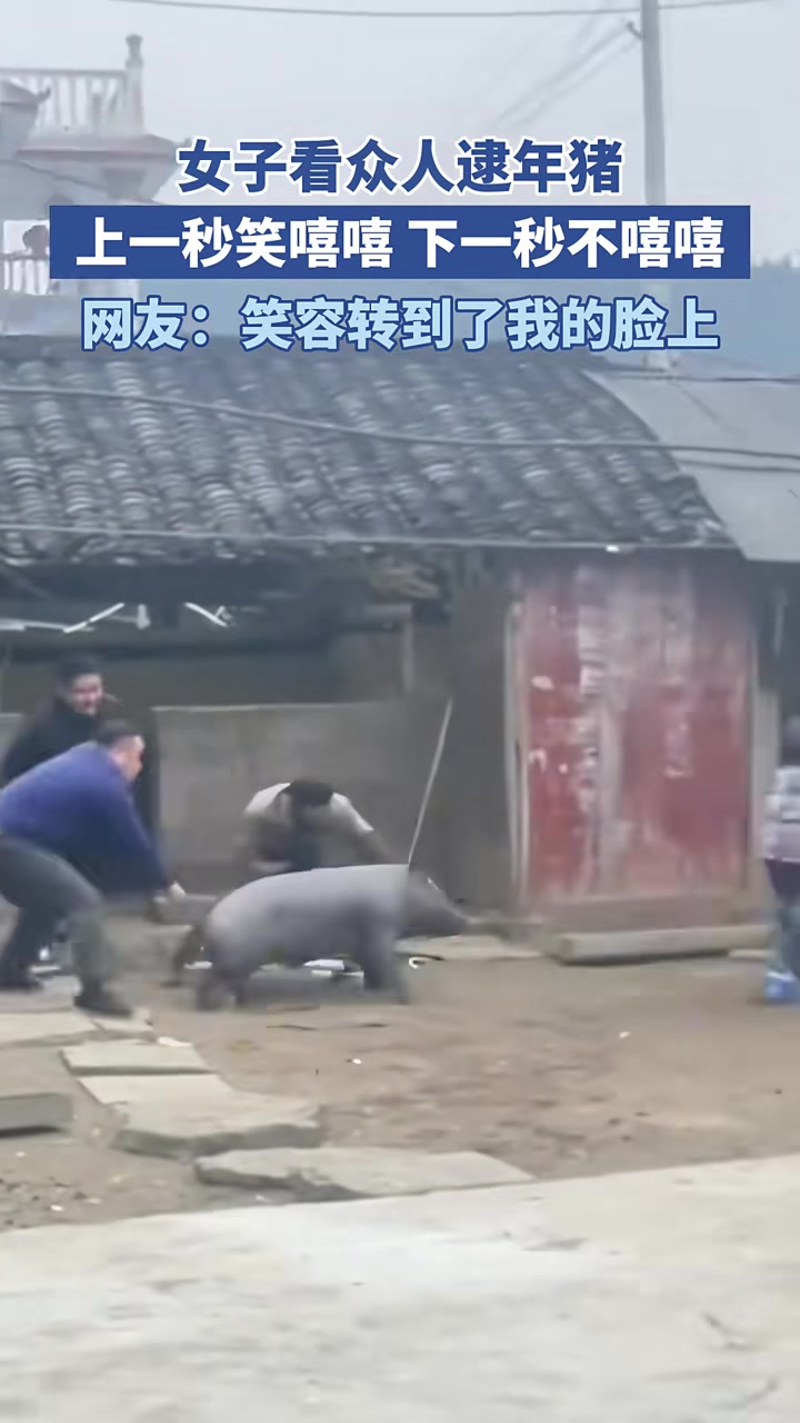 女子看众人逮年猪，上一秒笑嘻嘻下一秒不嘻嘻