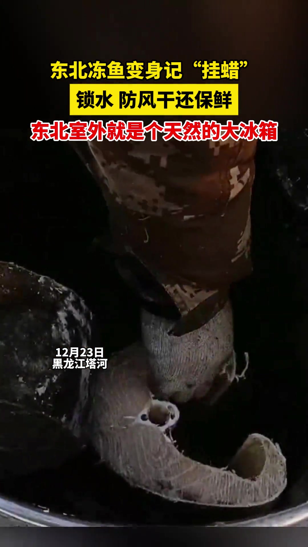 东北冻鱼变身记“挂蜡”，锁水、防风干、还保鲜