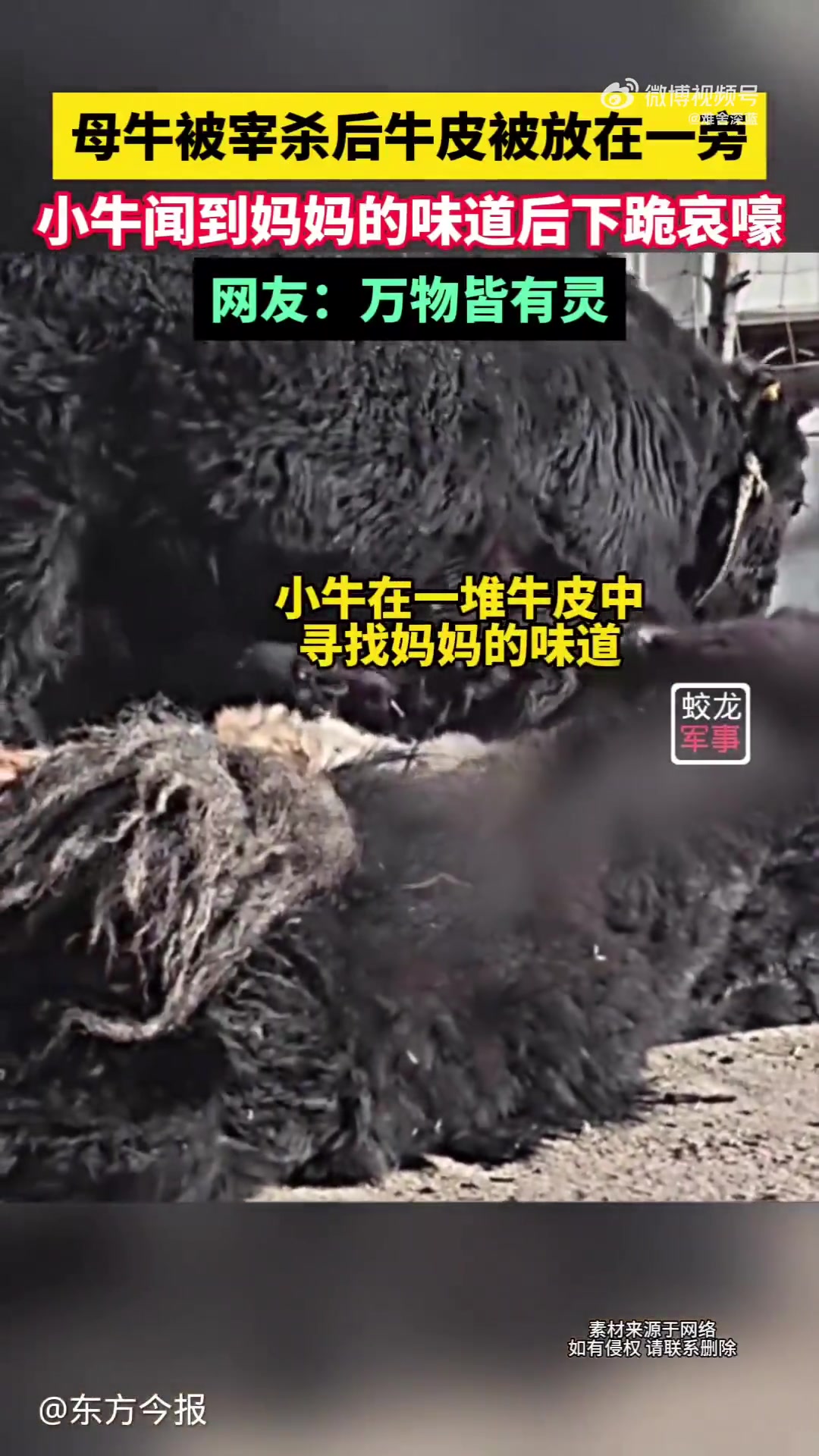 这场面太让人心痛了