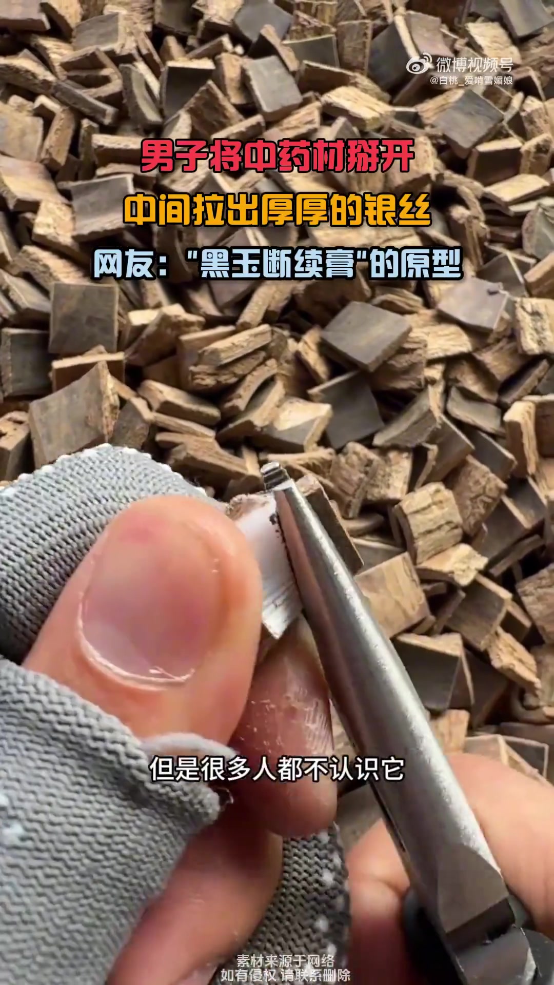男子将中药材掰开，中间拉出厚厚的银丝