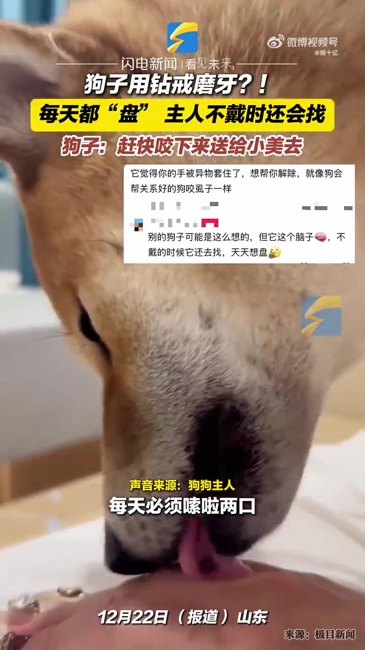 狗子用钻戒磨牙！每天都“盘”主人不戴时还会找
