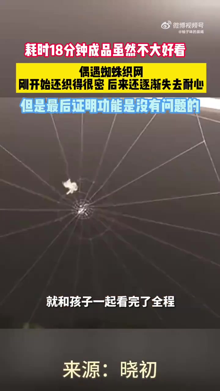 女子偶遇蜘蛛织网，刚开始还织得很密，后来还逐渐失去耐心！