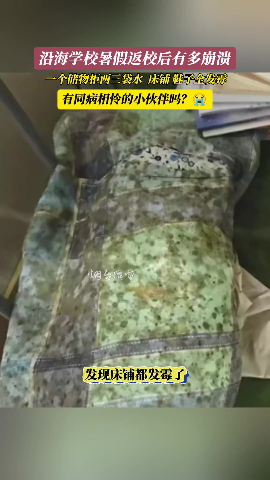 全霉！沿海学校暑假返校有多崩溃！
