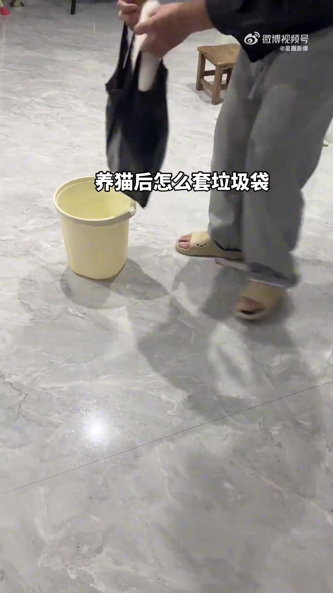 童工养猫的人终于恍然大悟了！