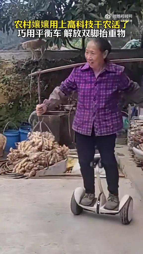 老奶也用上平衡车了！虽然省力，但是有点不安全！