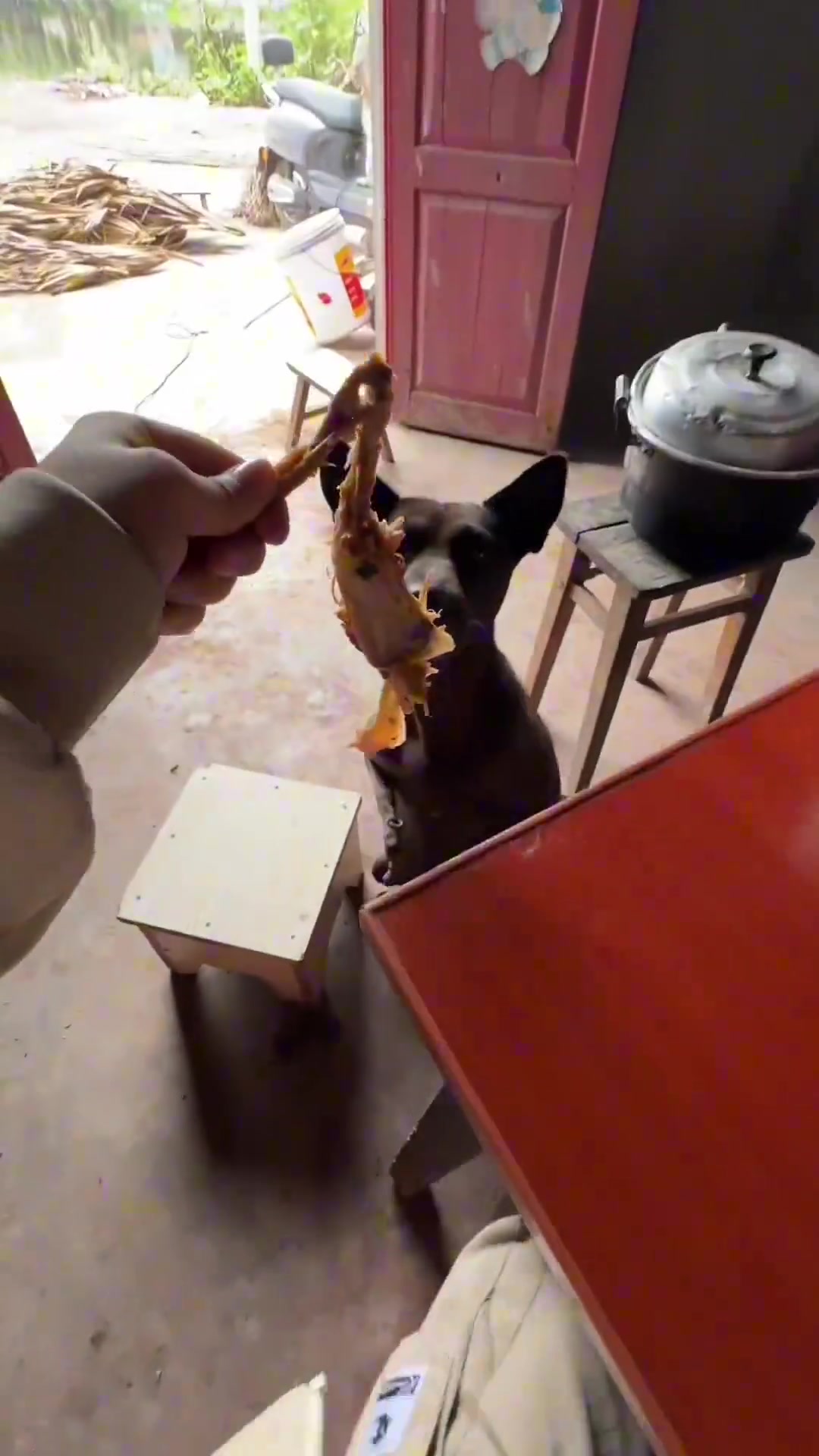 这可能是爷爷奶奶舍不得吃专门留给你的！