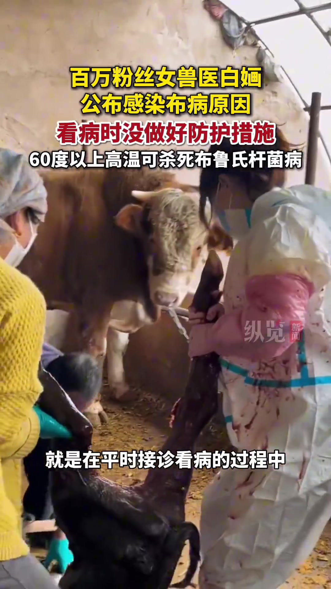 百万粉丝女兽医白婳发视频回应自己感染