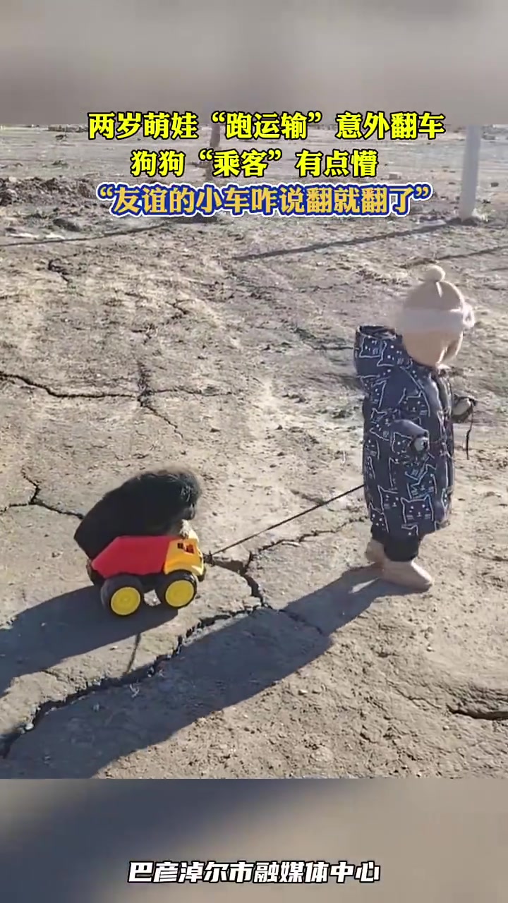 两岁萌娃“跑运输”意外翻车，狗狗“乘客”有点懵