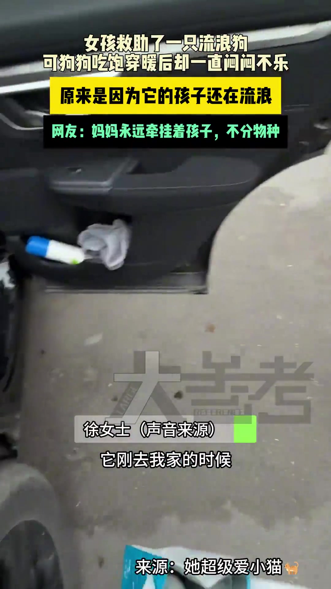 妈妈永远牵挂孩子不分物种