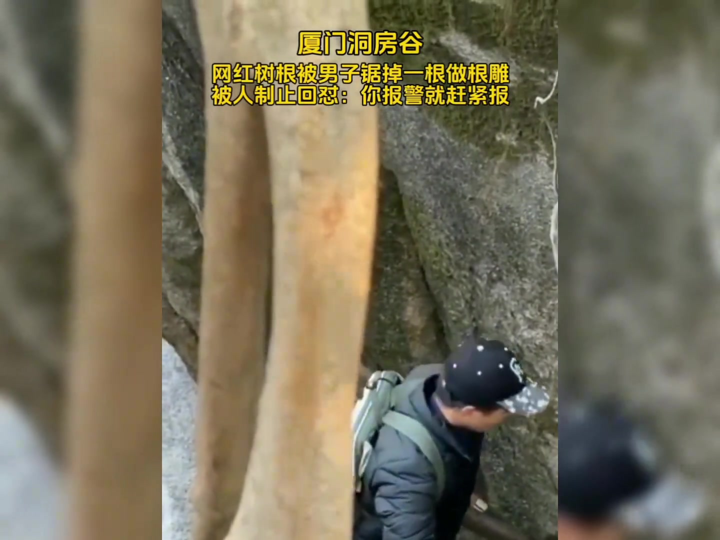 网红树根被男子锯掉一根被制止回怼：你报警就赶紧报！