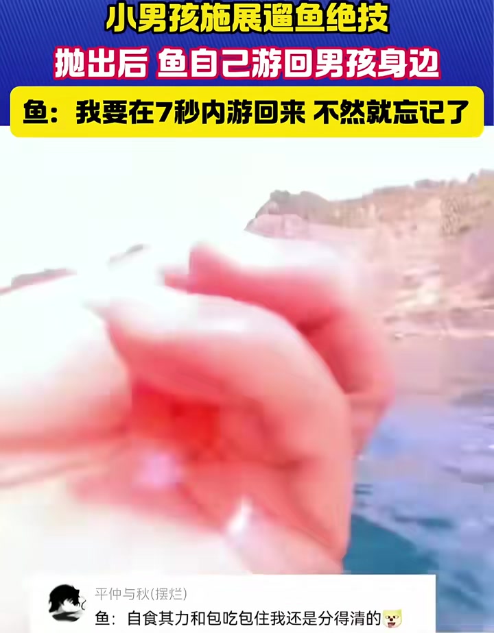 小孩放鱼，每次都自己游回来！驯养到位了
