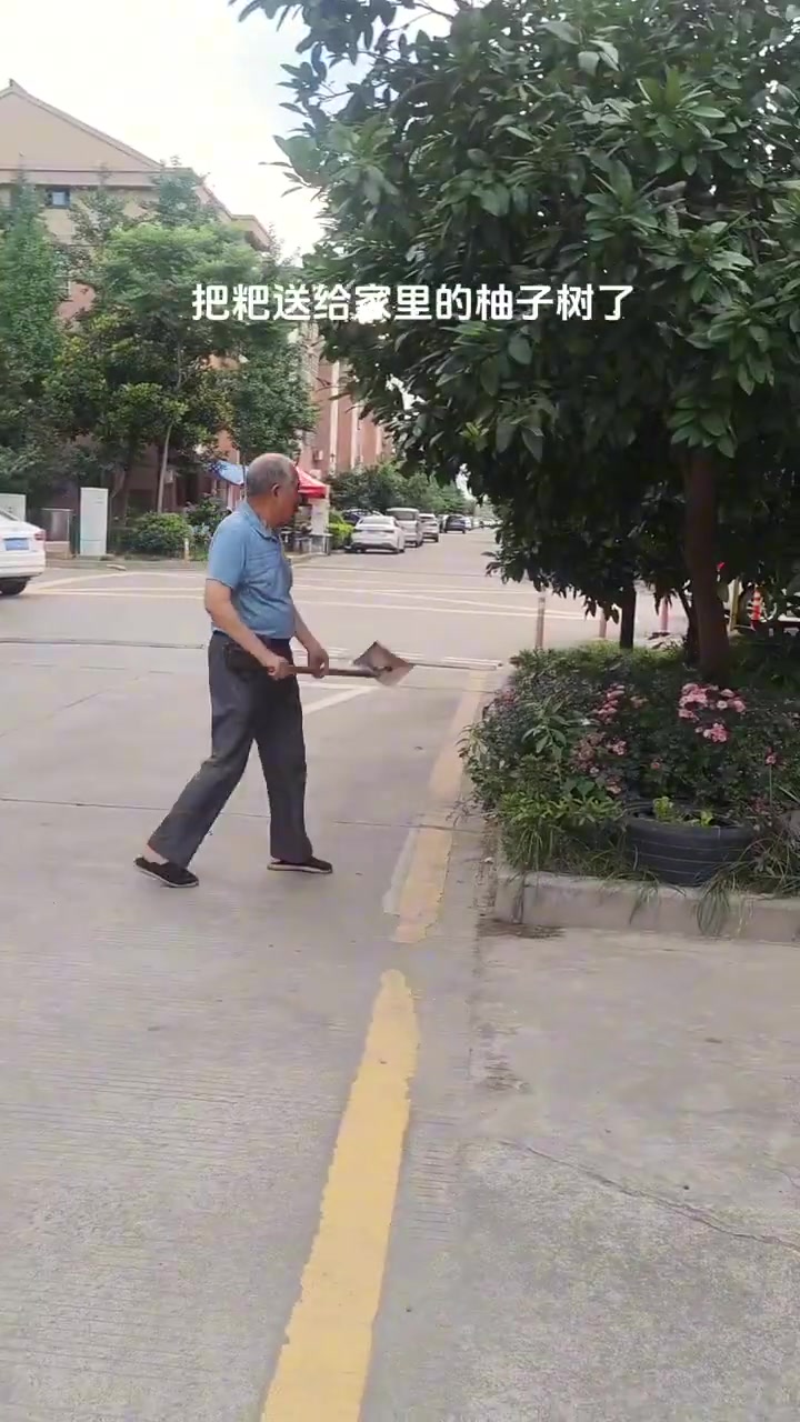 小狗有一个给自己收拾烂摊子的爷爷