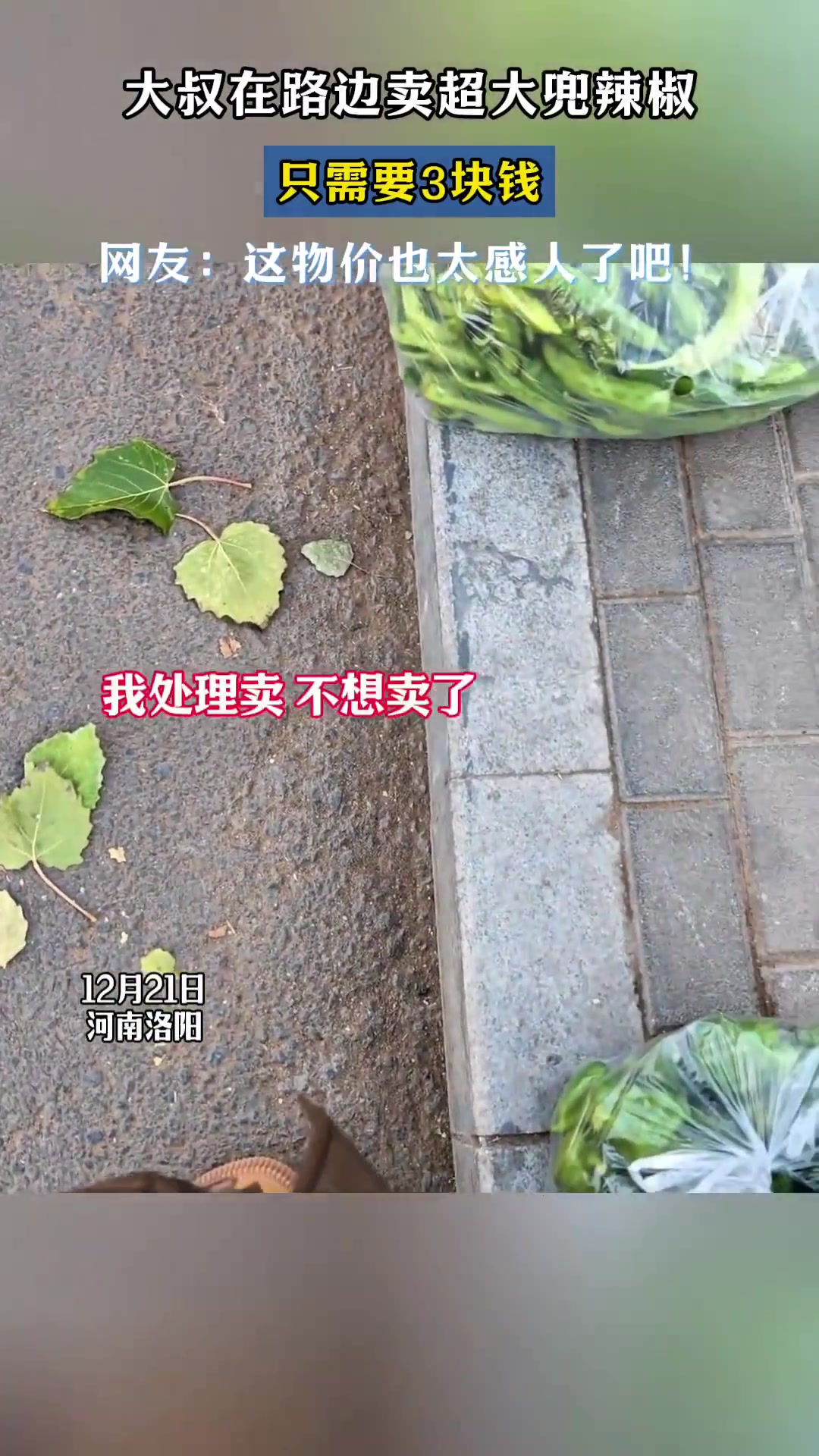 大叔在路边卖超大兜辣椒，只需要3块钱