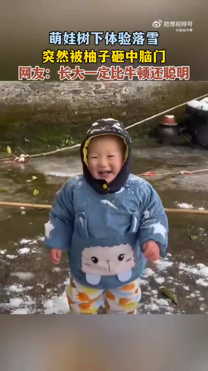 长大一定比牛顿还聪明，萌娃看雪被柚子砸中