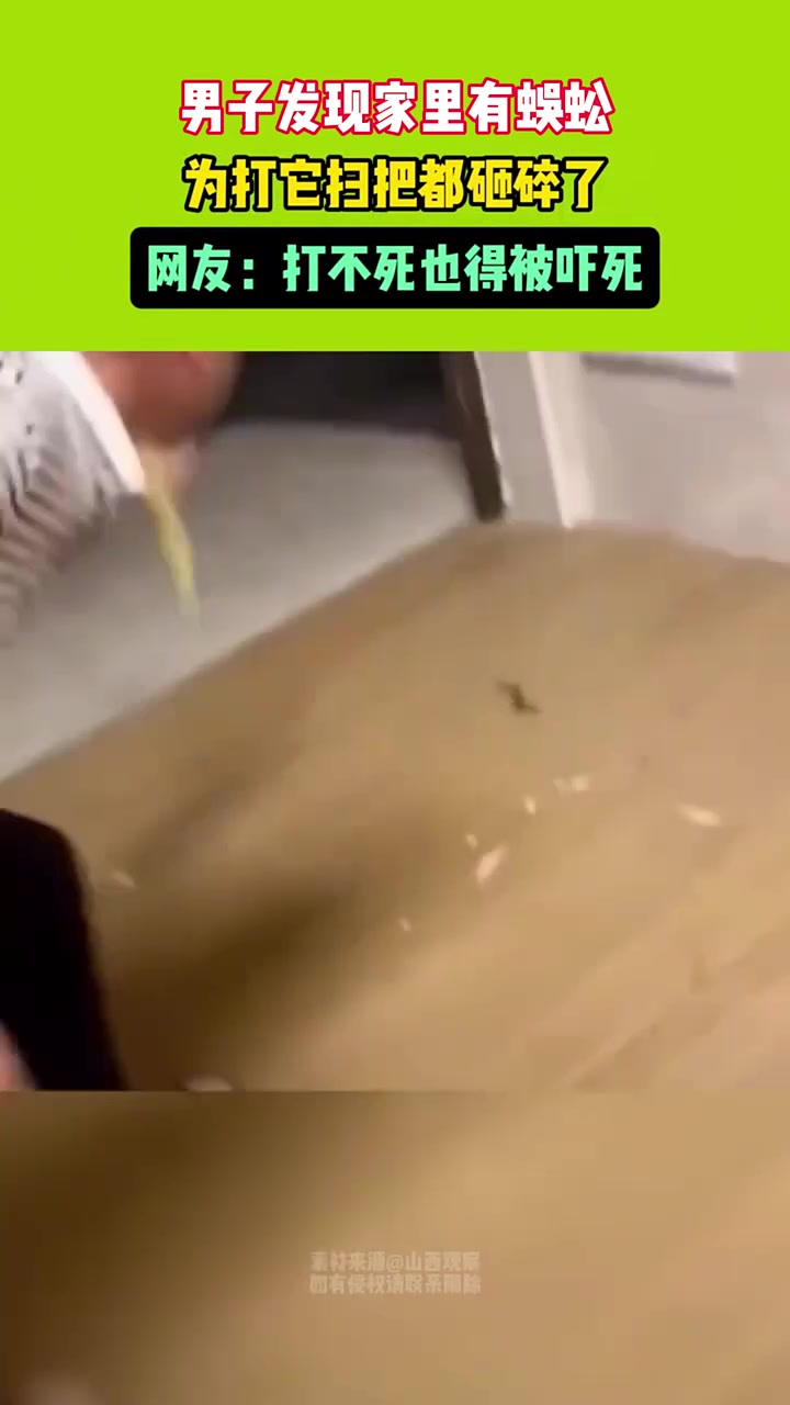 男子发现家里有蜈蚣，为打它扫把都砸碎了，打不死也得被吓死！