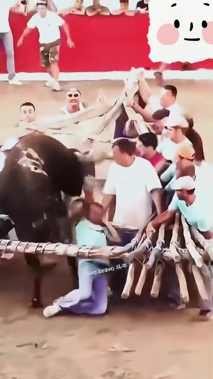 这牛是看过兵书的！