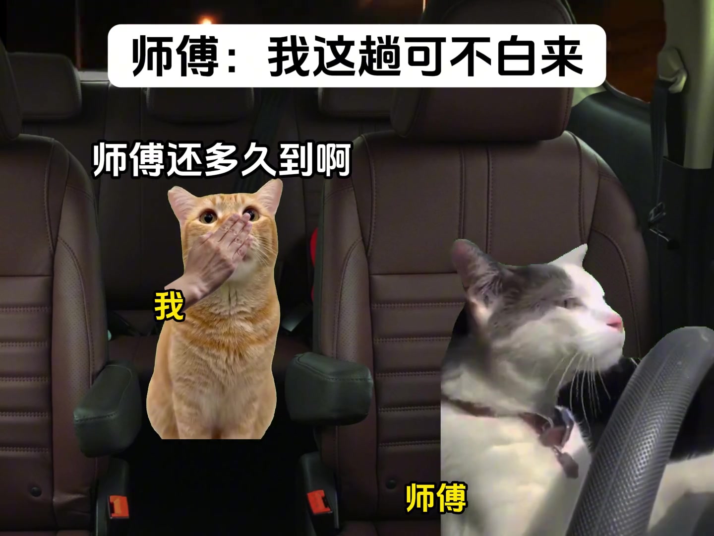 女生骗司机师傅抓小三