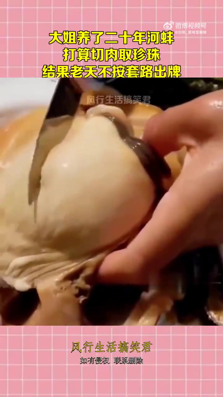 大姐养二十年河蚌，切肉取珍珠却遭老天“捉弄”