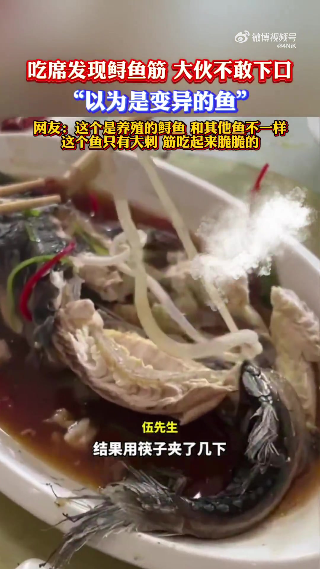 吃席发现鲟鱼筋，大伙不敢下口，“以为是变异的鱼”