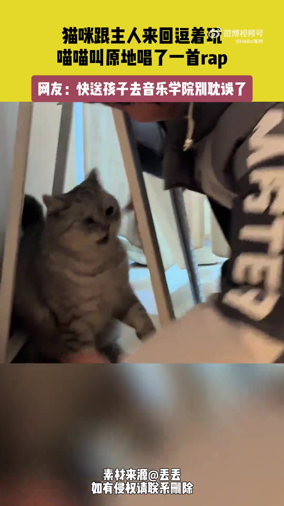 猫咪跟主人来回逗着玩，喵喵叫原地唱了一首rap