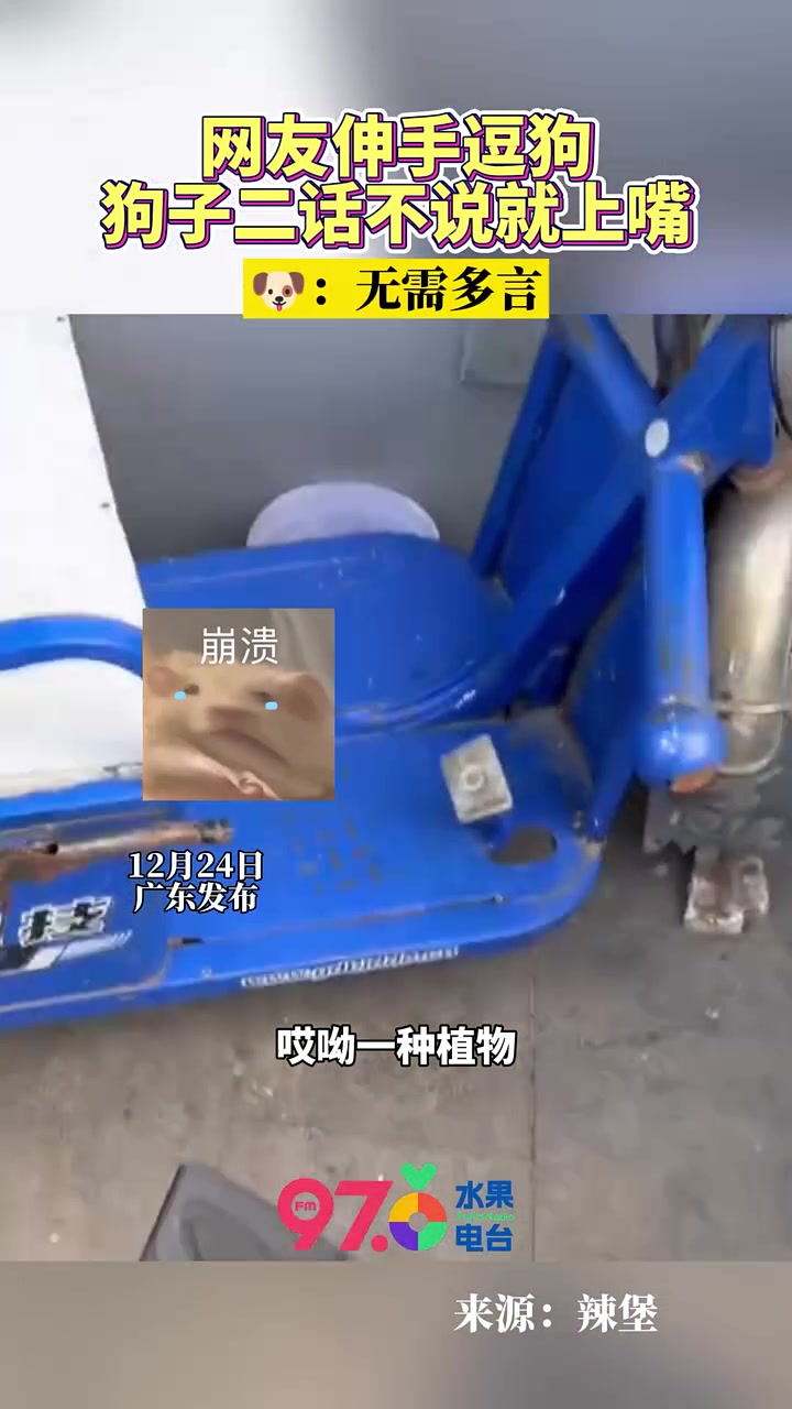 狗：嗯要我咬他