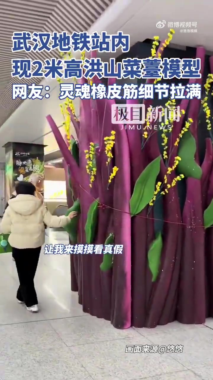 武汉地铁站内现2米高洪山菜薹模型