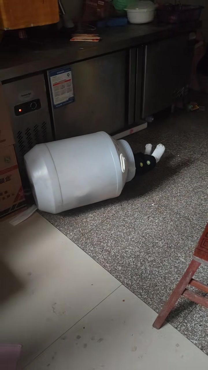 小孩哥钻进塑料桶里玩，结果出不来了吧！
