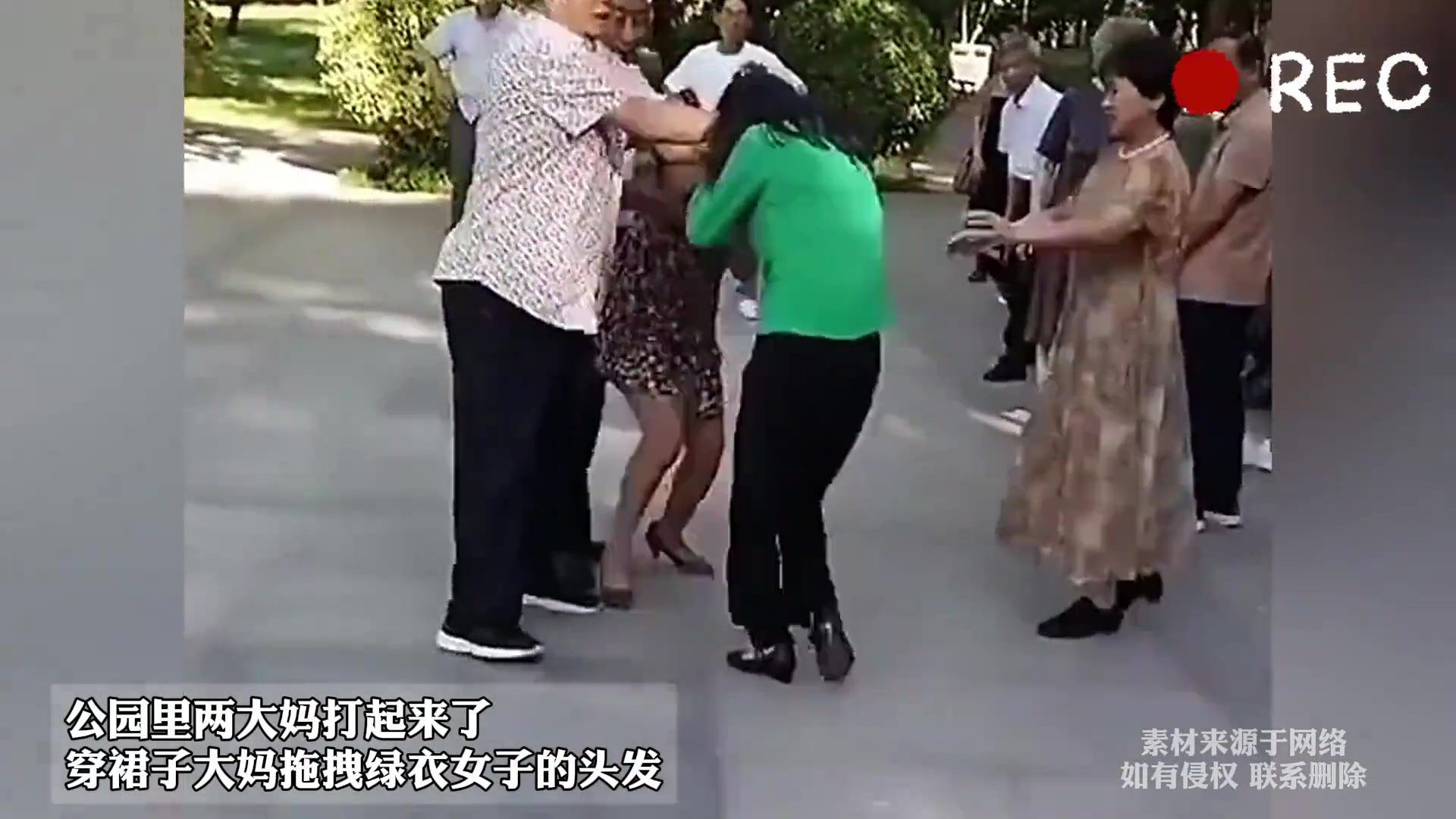 公园惊现大妈斗殴！花裙子大妈狂揪绿衣大妈头发，场面失控！