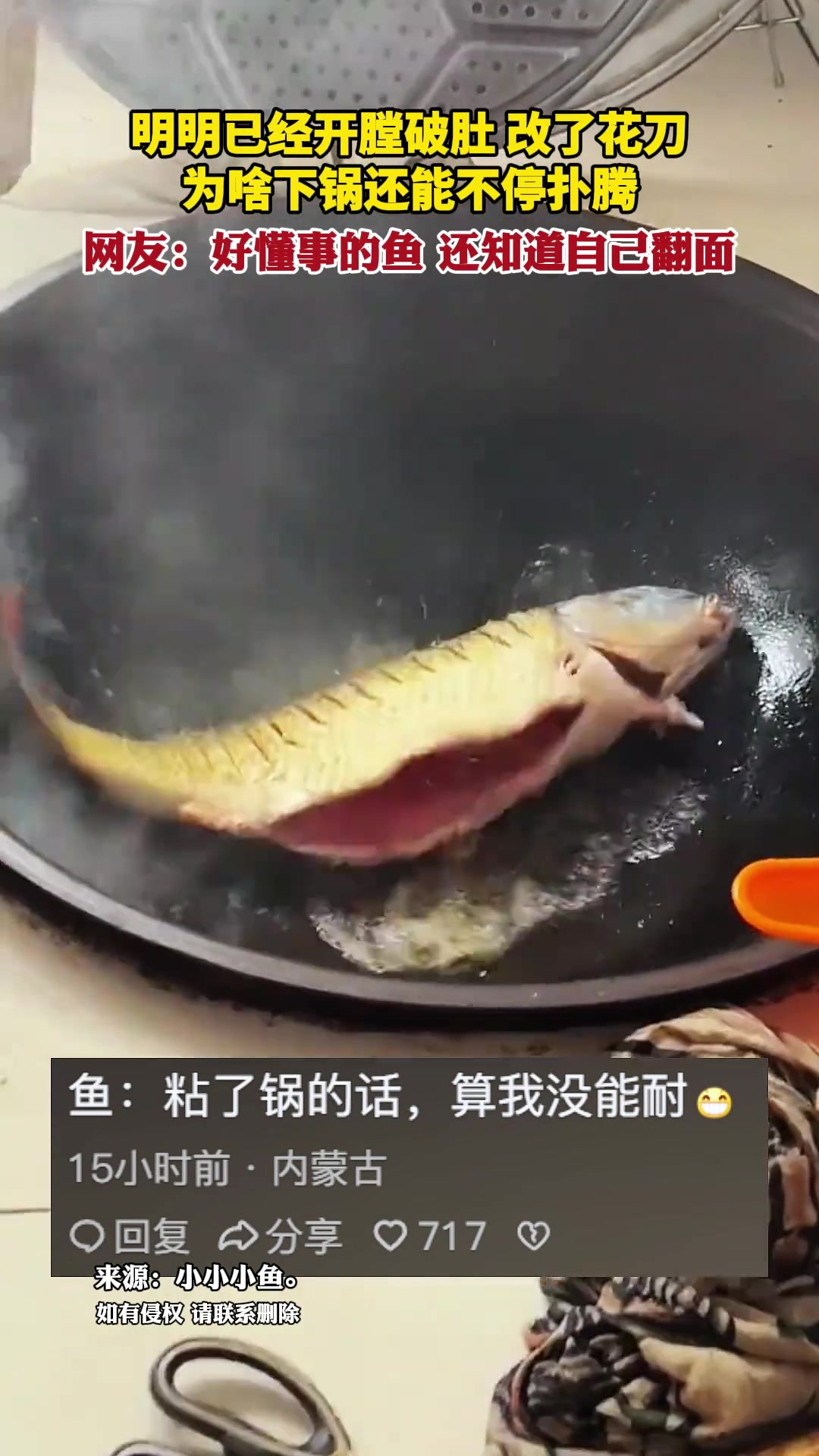 为啥鱼开膛破肚还改了花刀，下锅还是活蹦乱跳的啊
