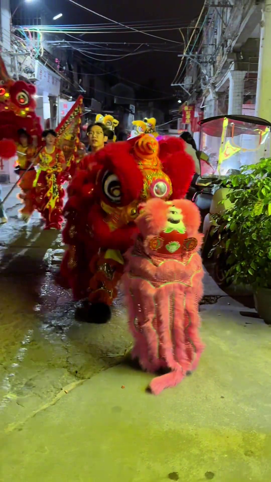 当醒狮遇上尿布狮，尿布狮终于找到组织啦