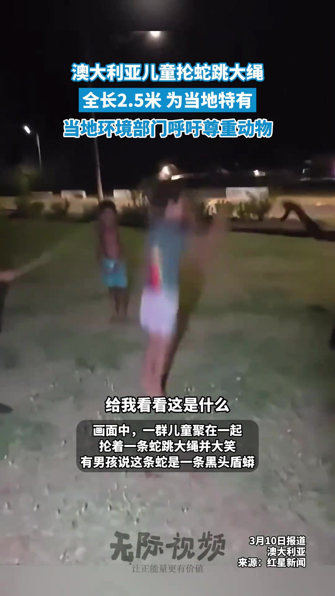 澳大利亚儿童抡蛇跳大绳，全长2.5米为当地特有
