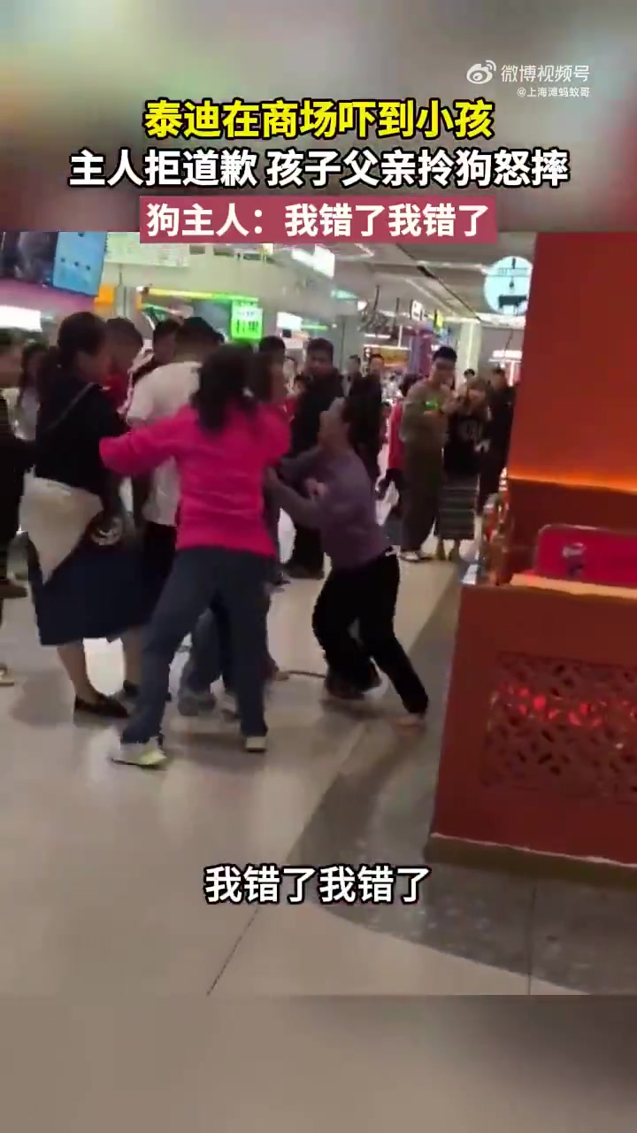 泰迪商场吓小孩，主人拒道歉，孩子父亲拎狗怒摔