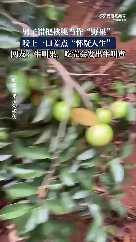 男子误将核桃当野果，咬后体验“酸爽”