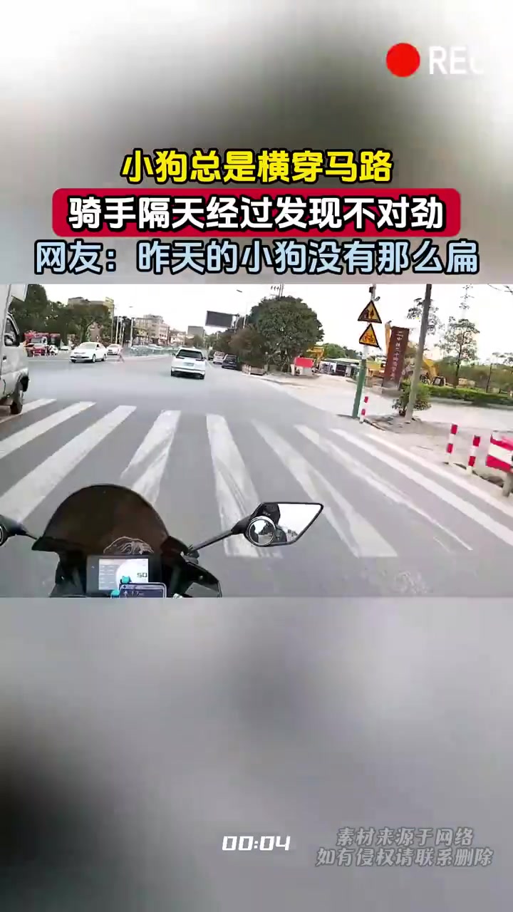 太地狱了！网友：昨天的小狗没有那么扁！