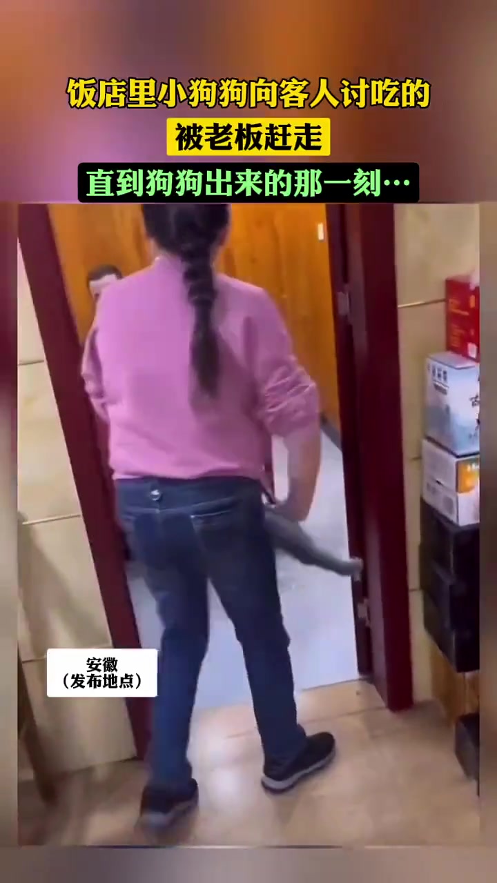本来想帮狗狗说话，直到黑溜溜地跑