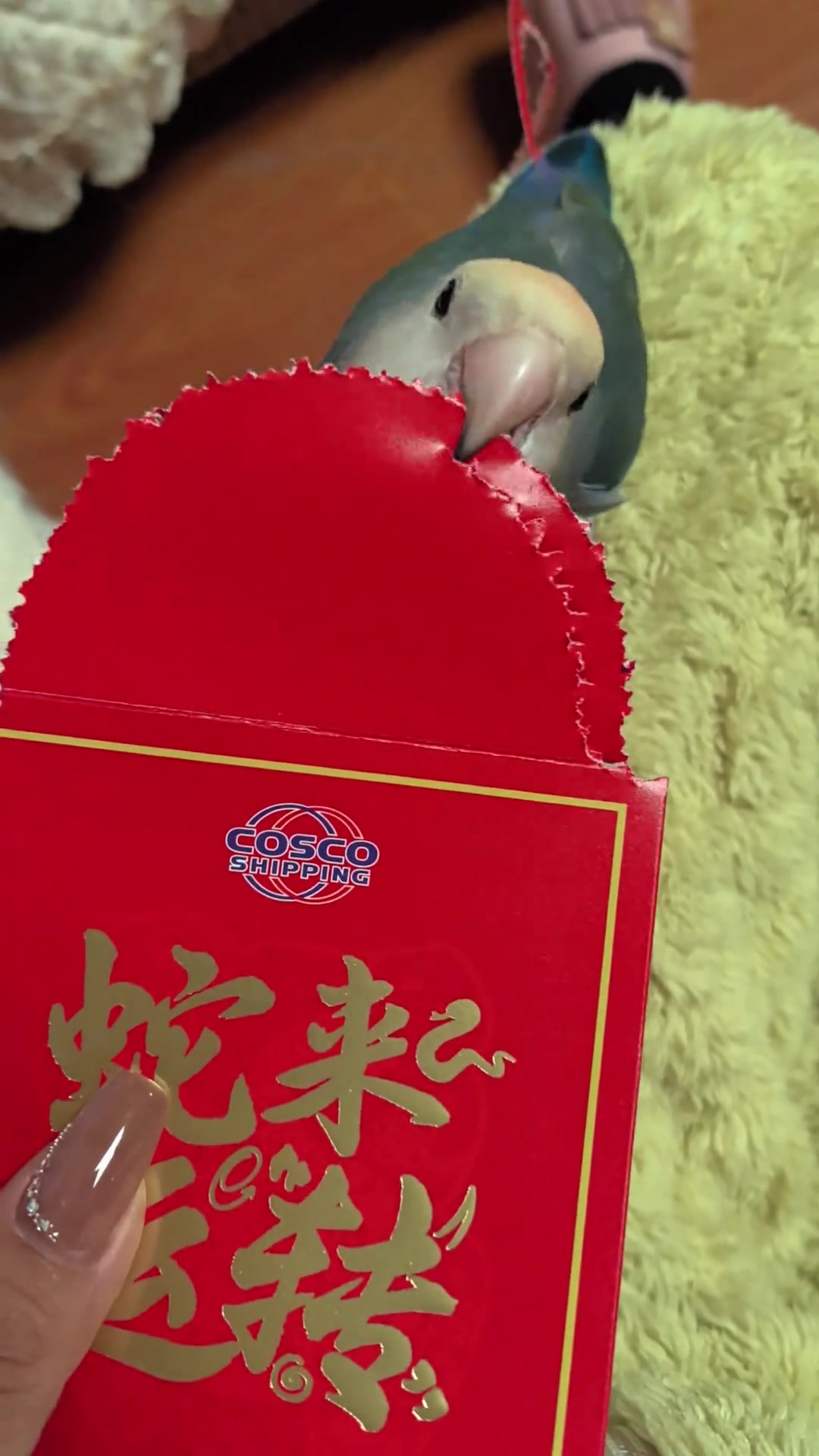 八级钳工！就问你牛不牛