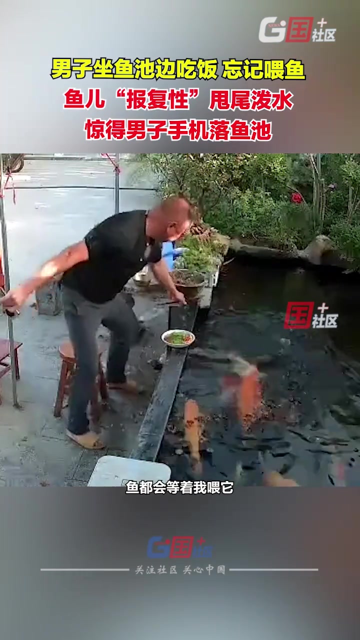 男子忘记喂鱼鱼儿报复性甩尾泼水